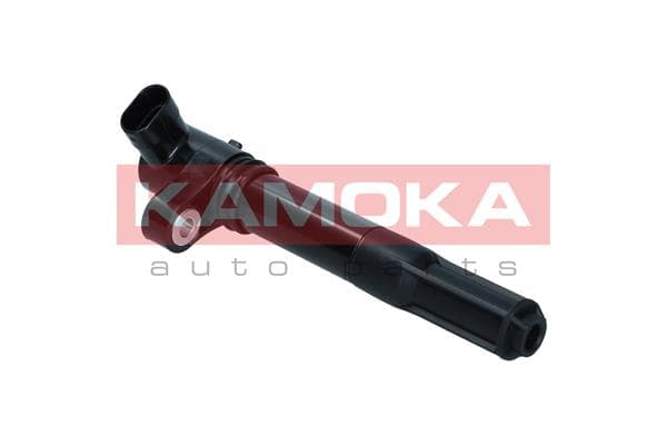 Uždegimo ritė — KAMOKA 7120053