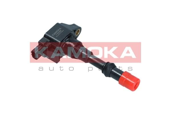 Uždegimo ritė — KAMOKA 7120089