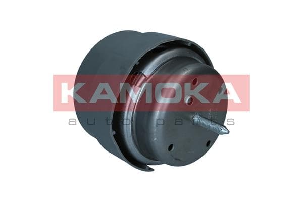 KAMOKA 890501