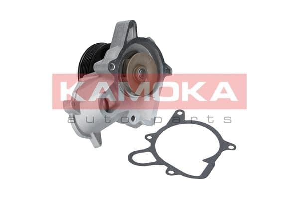 Vandens siurblys — KAMOKA T0053