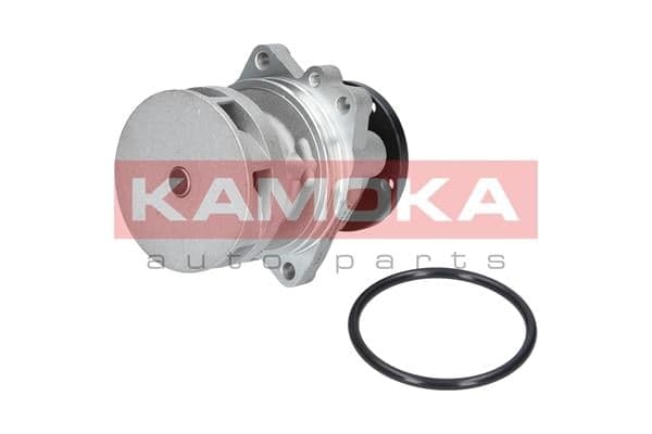 Vandens siurblys — KAMOKA T0059