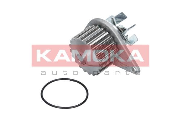 KAMOKA T0078 Vandens siurblys