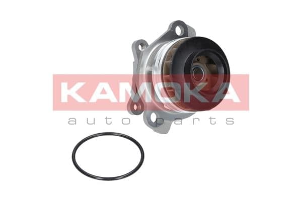 KAMOKA T0222 Vandens siurblys