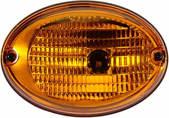 HELLA 2BA 343 130-057 Indikatorius