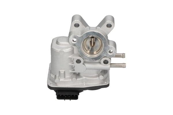 KAVO PARTS EEG-6503 EGR vožtuvas