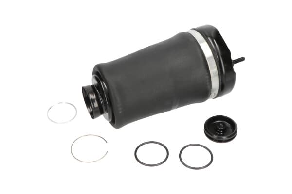 Pneumatinė spyruoklė, pakaba — KAVO PARTS SAS-10004