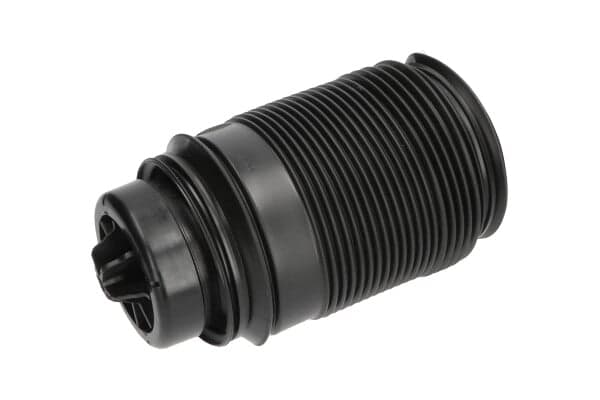 KAVO PARTS SAS-10019 Pakaba Pneumatinė spyruoklė