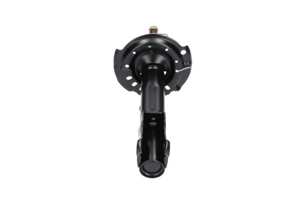 Amortizatorius — KAVO PARTS SSA-10173