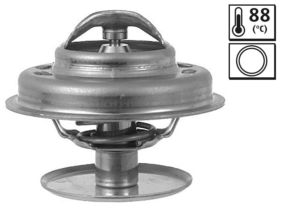 VALEO 819891 Termostatas