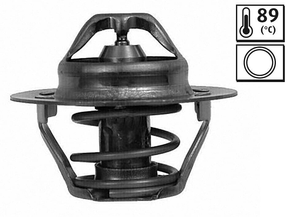 VALEO 820025 Termostatas