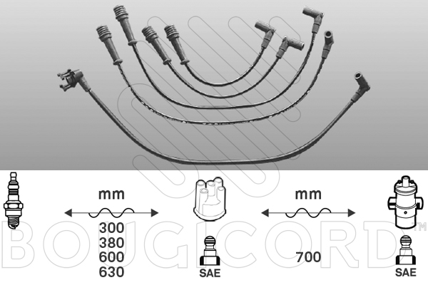 EFI - BOUGICORD image