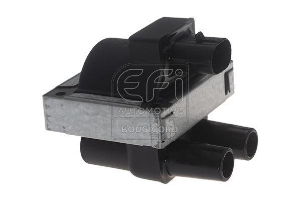 EFI - BOUGICORD image