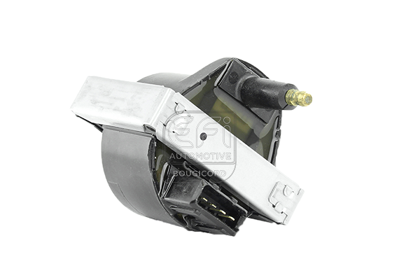 EFI - BOUGICORD image