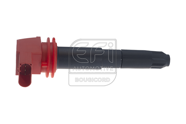 EFI - BOUGICORD image