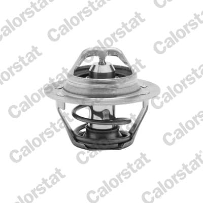 Termostatas — CALORSTAT by Vernet TH6047.89J