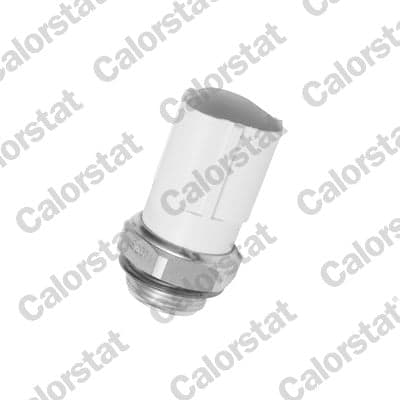 CALORSTAT by Vernet TS2671