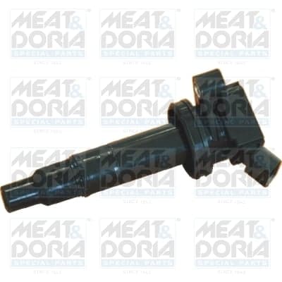 Uždegimo ritė — MEAT & DORIA 10444