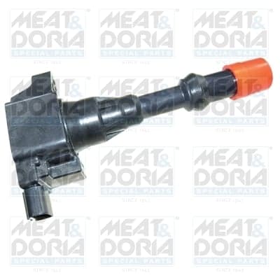 Uždegimo ritė — MEAT & DORIA 10580