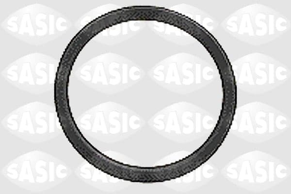 SASIC 6092032 Kardaninio veleno jungtis