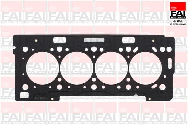 FAI AutoParts HG1187 Cilindro galvos tarpiklis