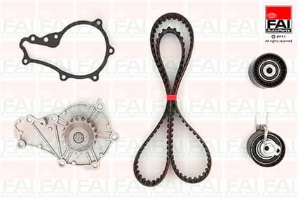 FAI AutoParts TBK190-6318 Vandens siurblio ir paskirstymo diržo komplektas
