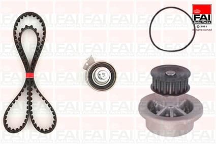 FAI AutoParts TBK53-1350 Vandens siurblio ir paskirstymo diržo komplektas