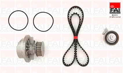 FAI AutoParts TBK53-6383 Vandens siurblio ir paskirstymo diržo komplektas