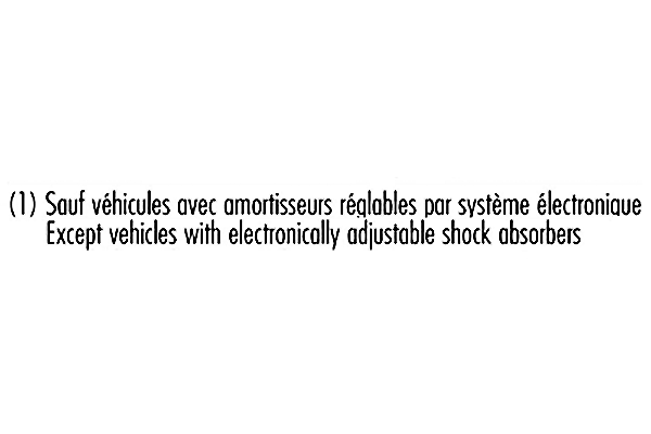 Amortizatorius — RECORD FRANCE 004059