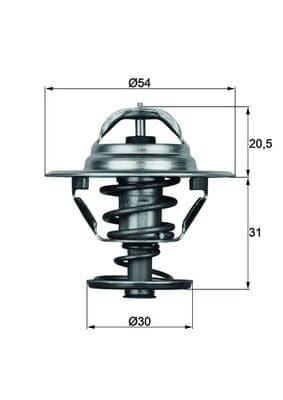 Termostatas — MAHLE TX 10 81D