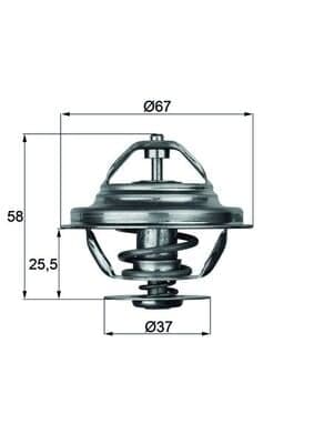 MAHLE TX 20 80D Termostatas