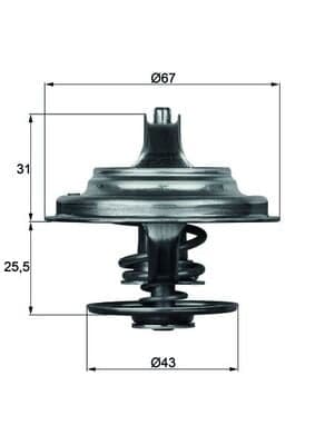 MAHLE TX 23 71D Termostatas