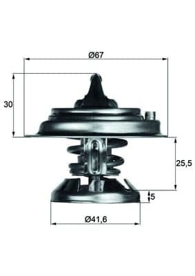 Termostatas — MAHLE TX 29 80D