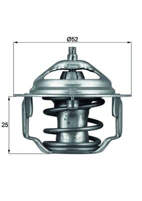 MAHLE TX 64 82 Termostatas