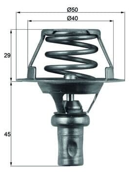 MAHLE TX 66 91D Termostatas