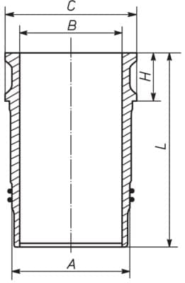 Cilindro įvorė — MAHLE 061 LW 00100 000