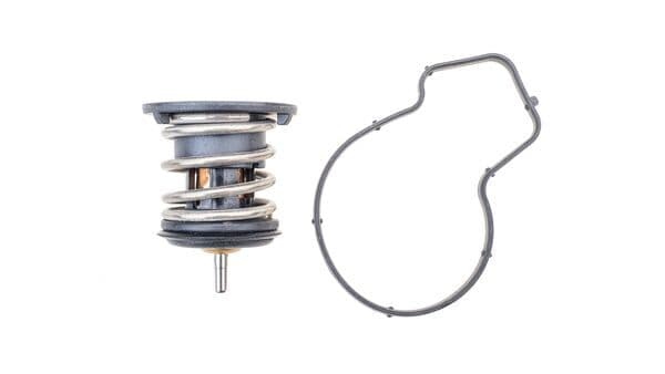 MAHLE TX 254 80D Termostatas