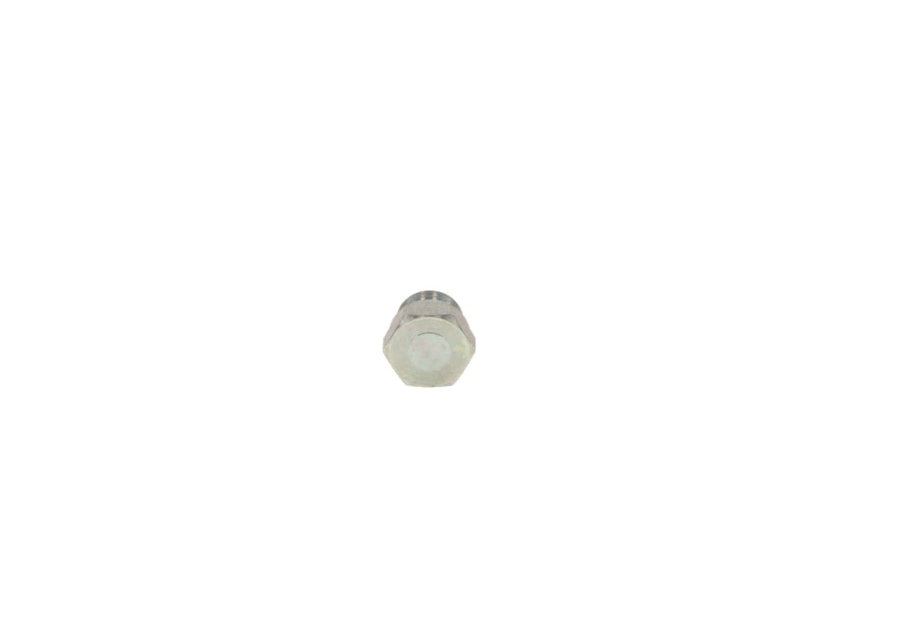 Varžtas — BOSCH 2 443 462 009