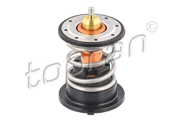 Termostatas — TOPRAN 502 662