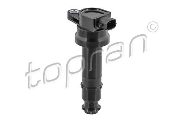 TOPRAN 821 429 Uždegimo ritė