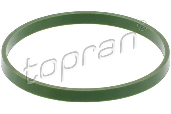 Tarpiklis, įsiurbimo kolektoriaus korpusas — TOPRAN 120 491