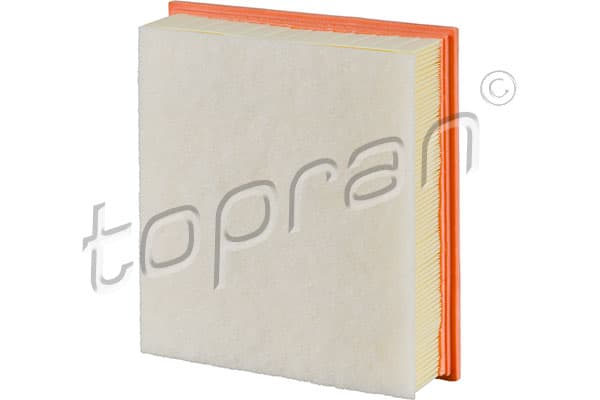 Oro filtras — TOPRAN 304 201