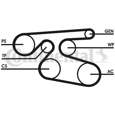 Ribbed V-belt image