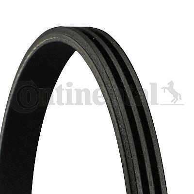 V formos rumbuotas diržas — CONTINENTAL CTAM 3PK576 ELAST