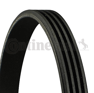 V formos rumbuotas diržas — CONTINENTAL CTAM 4PK815