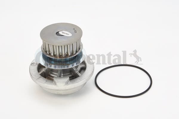 CONTINENTAL CTAM WP6052 Vandens siurblys