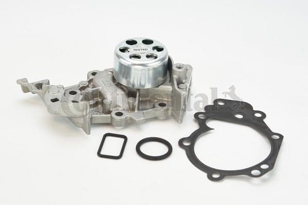 CONTINENTAL CTAM WP6081