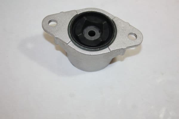AUTOMEGA 110012910 Pakabos statramsčio guolis
