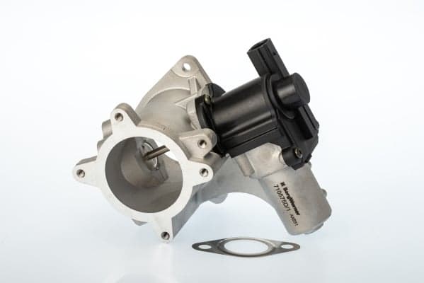EGR vožtuvas — BorgWarner 710575D
