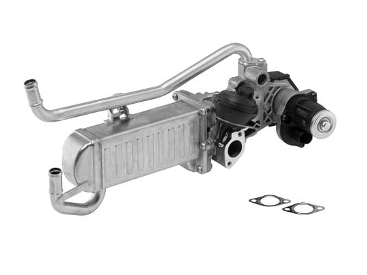 ERG modulis — BorgWarner 710863D