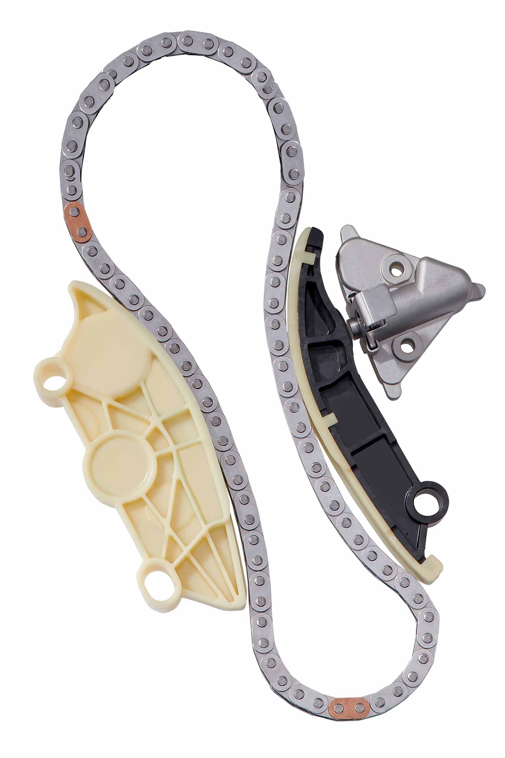BorgWarner 59007150035 Pavaros grandinės komplektas